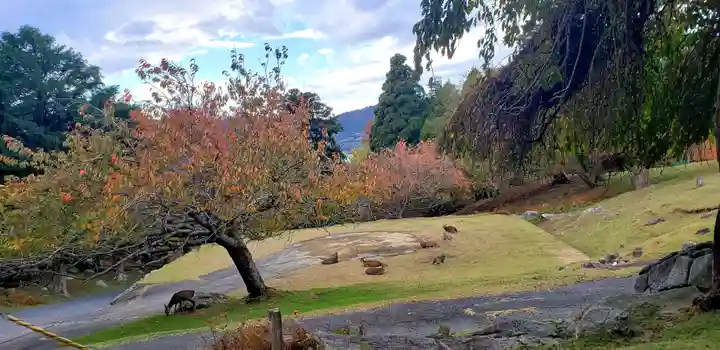 金華山黄金山神社のその他建物