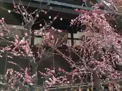 大阪天満宮の庭園