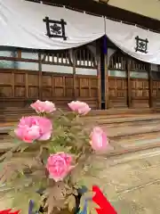 一乗寺の本殿