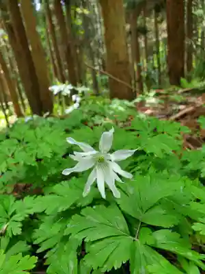 磐椅神社(福島県)