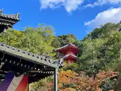 今熊野観音寺(京都府)