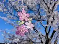 日本唯一香辛料の神 波自加彌神社の御朱印