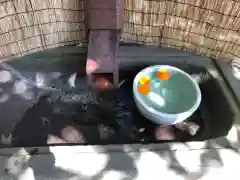 鴨島八幡神社の手水