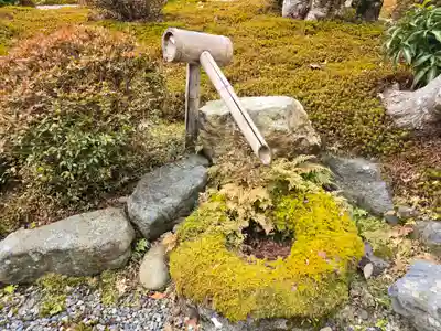 念仏寺（大原念佛寺）(京都府)