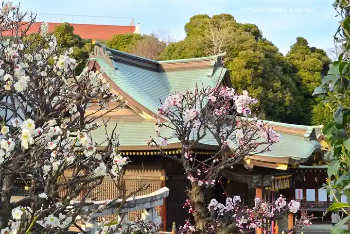 赤羽八幡神社(東京都)