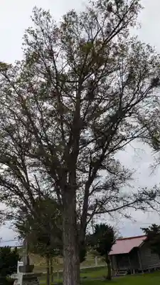 山形神社の自然