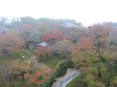 将軍塚青龍殿(青蓮院門跡)の庭園