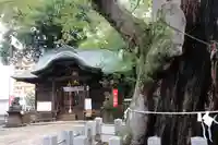 阿邪訶根神社の本殿・本堂