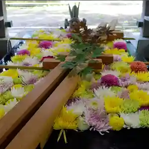 帯廣神社の手水舎(2023年08月10日(木) 17時14分52秒投稿)