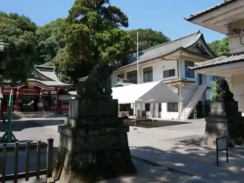 日枝神社水天宮の狛犬