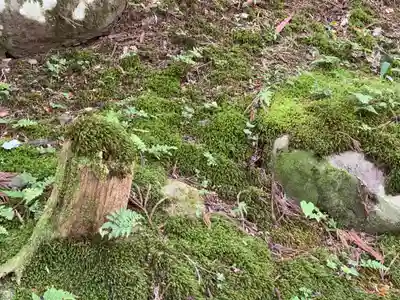平泉寺白山神社(福井県)
