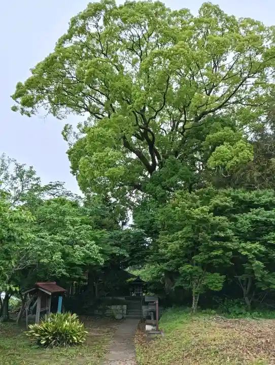 一瀬王子跡の{uncategorized: "未分類", other: "その他", undefined: "問題あり", building: "その他建物", grave: "お墓", sacred_gate: "鳥居", guardian: "狛犬", statue: "像", buddha: "仏像", history: "歴史", nature: "自然", garden: "庭園", animal: "動物", pagoda: "塔", temizu: "手水舎", mountain_gate: "山門・神門", sanctuary: "本殿・本堂", subordinate: "末社・摂社", art: "芸術", scenery: "景色", jizo: "地蔵", ema: "絵馬", goshuin: "御朱印", omikuji: "おみくじ", items: "授与品その他", amulet: "お守り", goshuincho: "御朱印帳", eats: "食事", festival: "お祭り", votive_dance: "神楽", shichigosan: "七五三参", wedding: "結婚式", experience: "体験その他", initially: "初詣", around: "周辺", anti_infection: "感染症対策"}