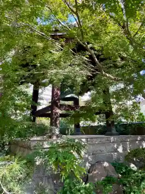 祥雲寺(東京都)