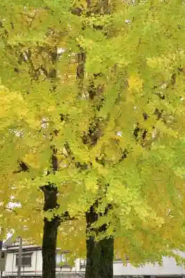 普光寺(新潟県)