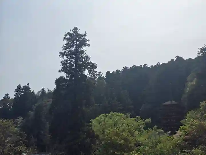 長谷寺(奈良県)