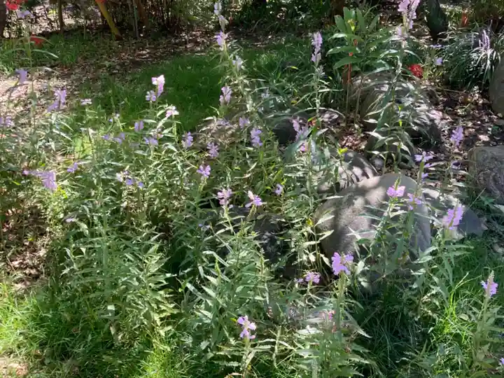 常祗稲荷神社(群馬県)