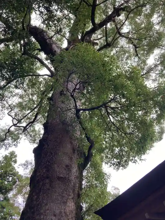 伊勢神宮外宮(豊受大神宮)(三重県)