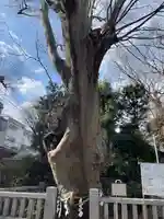 青渭神社の自然
