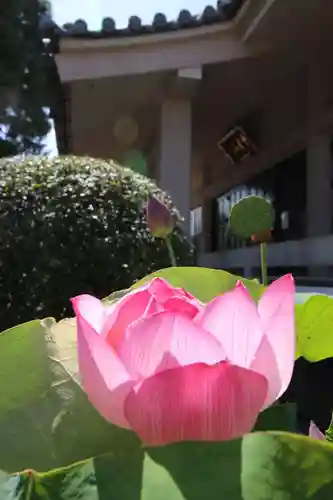 薬王寺(埼玉県)