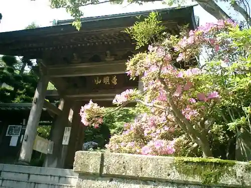 成就院の山門・神門