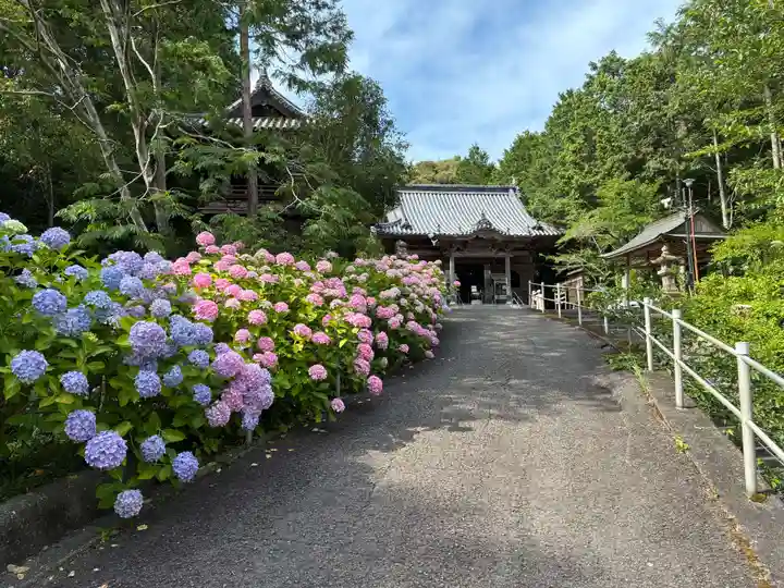 熊谷寺(徳島県)