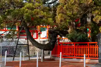 香椎宮(福岡県)