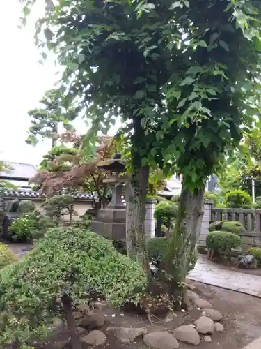 荘厳寺(東京都)