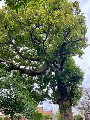 佛心寺(東京都)