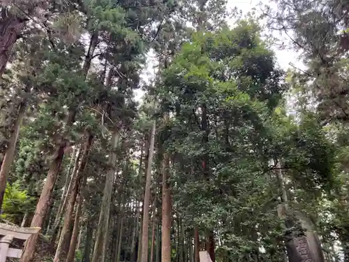 大宮温泉神社(栃木県)