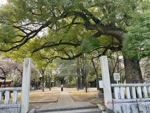 川口神社(埼玉県)