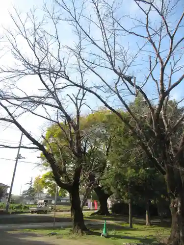 伏木香取神社(茨城県)