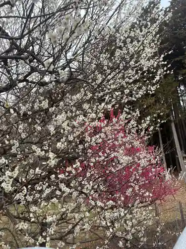 岩津天満宮(愛知県)