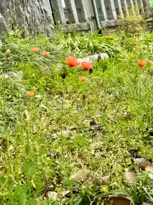 玉田神社(京都府)