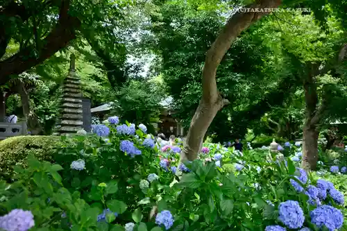 妙楽寺(神奈川県)