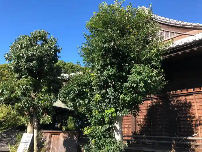 三笠神社の建物その他