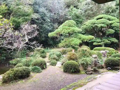 吐月峰柴屋寺の庭園