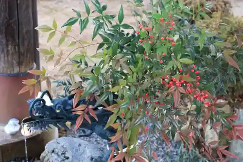 大鏑神社の手水