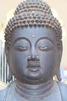 國分寺（国分寺）(京都府)