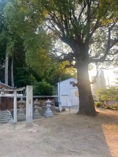 船岡神社(大阪府)