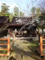 大井俣窪八幡神社(山梨県)