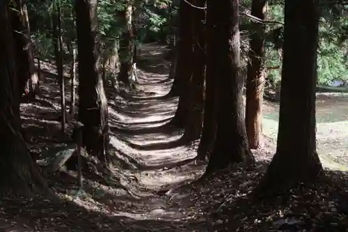 鹿島大神宮の景色