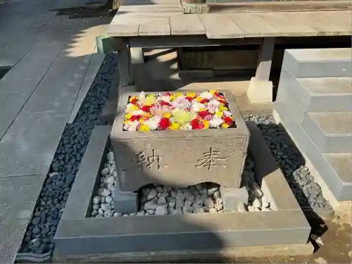 観音寺(東京都)