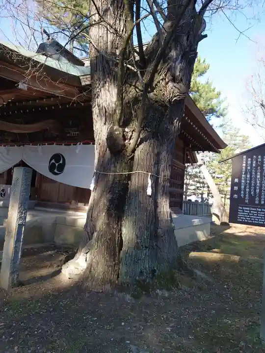 川中島古戦場八幡社(長野県)