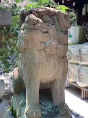 白峯神宮の狛犬