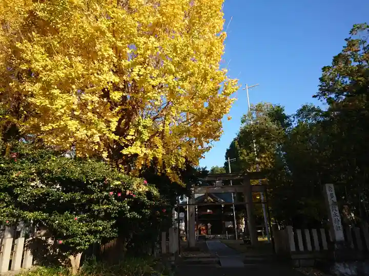 多奈波太神社の自然