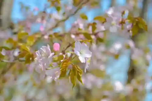 尻岸内八幡神社の景色