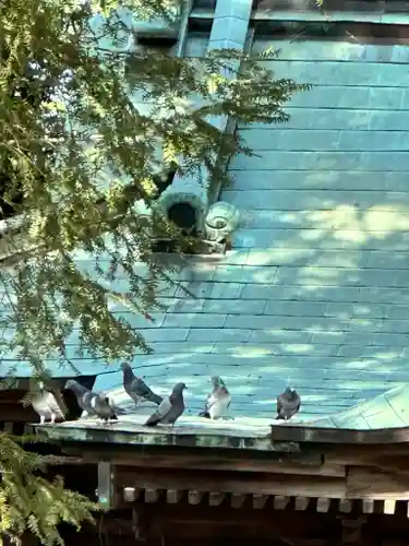 鶴嶺八幡宮(神奈川県)