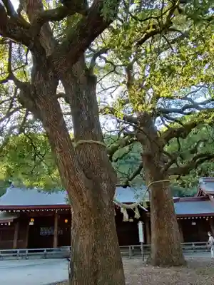 明治神宮(東京都)