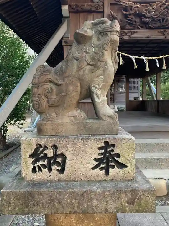 賣夫神社(嫁振)の狛犬
