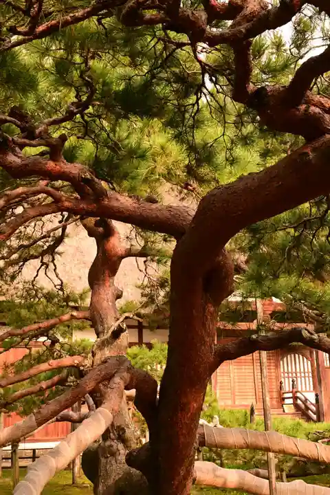 常楽寺(長野県)